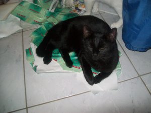 Wichtelpaket 069.jpg