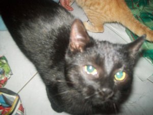 Wichtelpaket 072.jpg