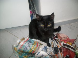 Wichtelpaket 073.jpg