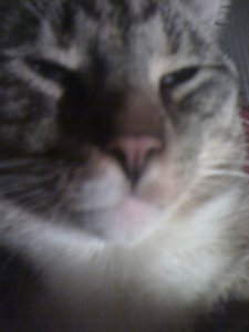 Bild 009 [800x600].jpg