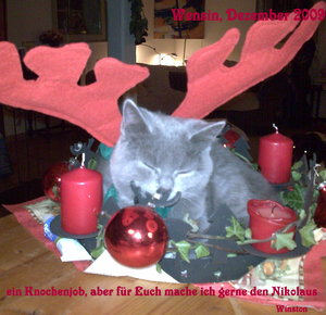 Nikolaus 2.jpg