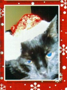 Tinka und Francis 001.jpg