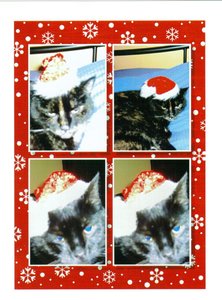 Tinka und Francis 001 - Kopie.jpg