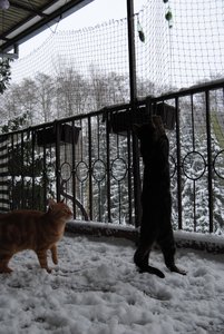 Winter2010 024.jpg
