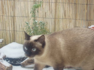 Murmelchen und Maymunah 034.jpg