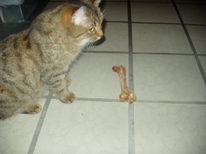 Murmelchen und Maymunah 020.jpg