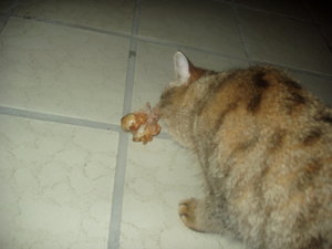 Murmelchen und Maymunah 023.jpg