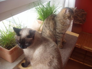 Murmelchen und Maymunah 049.jpg