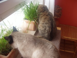 Murmelchen und Maymunah 051.jpg