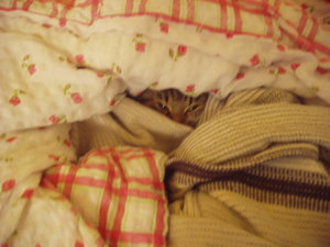 Weihnachten 10 002.jpg