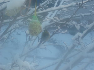 großes Kino 065.jpg