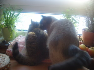 großes Kino 067.jpg