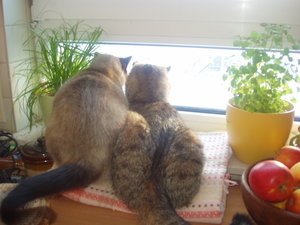 großes Kino 072.jpg