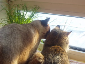 großes Kino 080.jpg