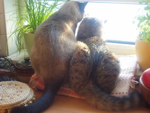 großes Kino 079.jpg