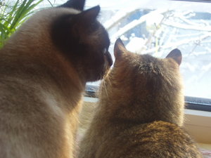 großes Kino 083.jpg