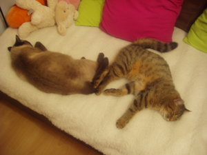 großes Kino 016.jpg