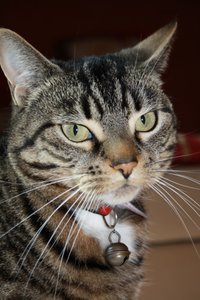 Canon 012 [1600x1200].JPG