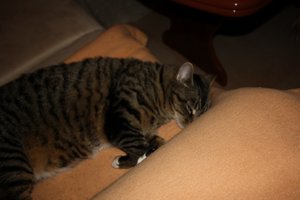 Canon 008 [1600x1200].JPG