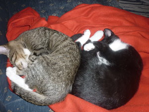 So 26.09.2010 (1).jpg