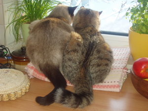 großes Kino 078.jpg