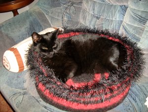 Max in seinem Bettchen.jpg