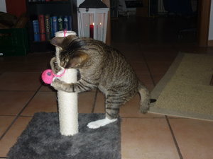 Silvester 2010 002.jpg