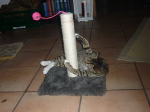 Silvester 2010 006.jpg