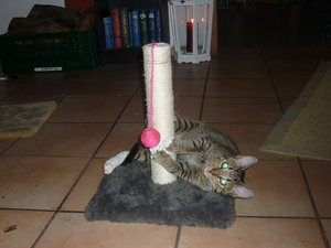 Silvester 2010 009.jpg