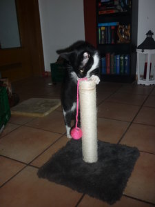 Silvester 2010 013.jpg