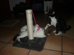 Silvester 2010 019.jpg