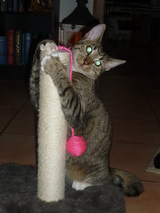 Silvester 2010 030.jpg