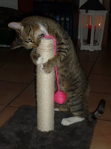 Silvester 2010 031.jpg