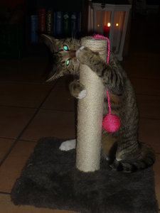 Silvester 2010 032.jpg