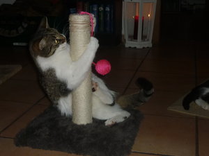 Silvester 2010 038.jpg