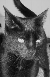 102_1153 - Kopie.JPG