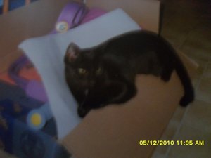 Minnie-Mikesch 005 [800x600].jpg