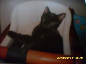 Minnie-Mikesch 006 [800x600].jpg