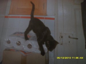 Minnie-Mikesch 004 [800x600].jpg