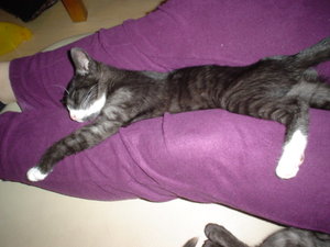 dezember2010 069.jpg