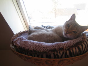 Urflaub udn herr Krause 017.jpg