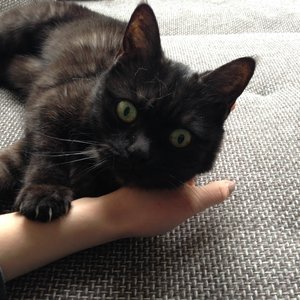 Foto 20.05.15, 09 17 02.jpg