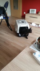 20151010_160104 Forum.jpg