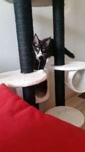 20151010_160410 Forum.jpg