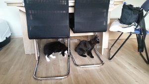 20151010_160954 Forum.jpg