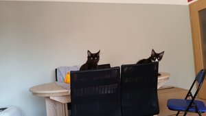 20151011_100340 Forum.jpg