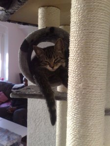 22102011621 Forum.jpg