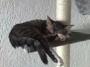 23102011630 Forum.jpg