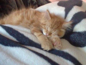 01112011677 Forum.jpg