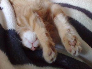 01112011686 Forum.jpg